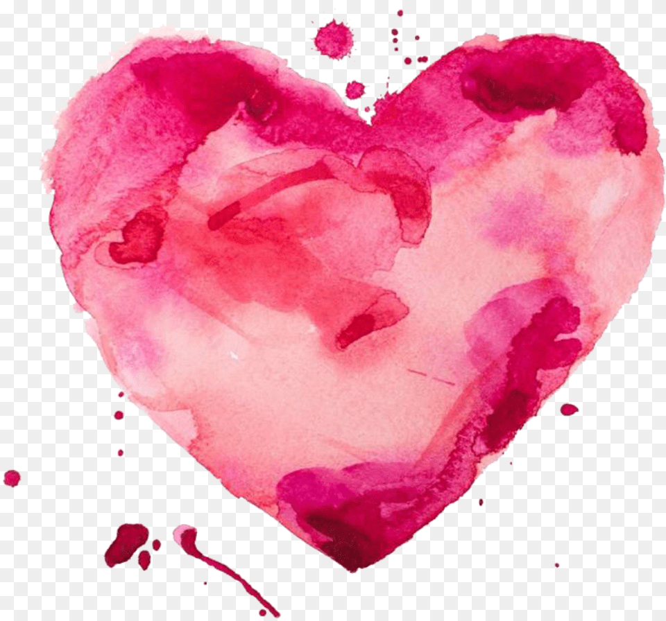 Heart Pink Watercolors Love Watercolor, Flower, Petal, Plant, Rose Free Png Download