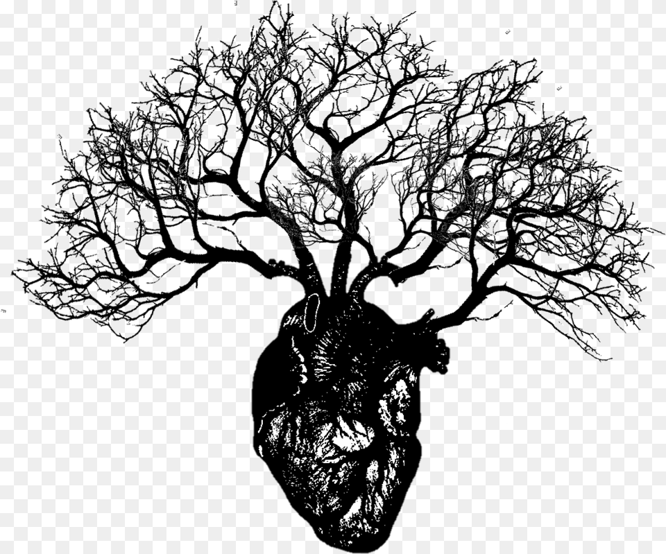Download Heart Tree Human Heart With Branches Image Human Heart With Branches, Art, Plant, Drawing, Outdoors Free Transparent Png