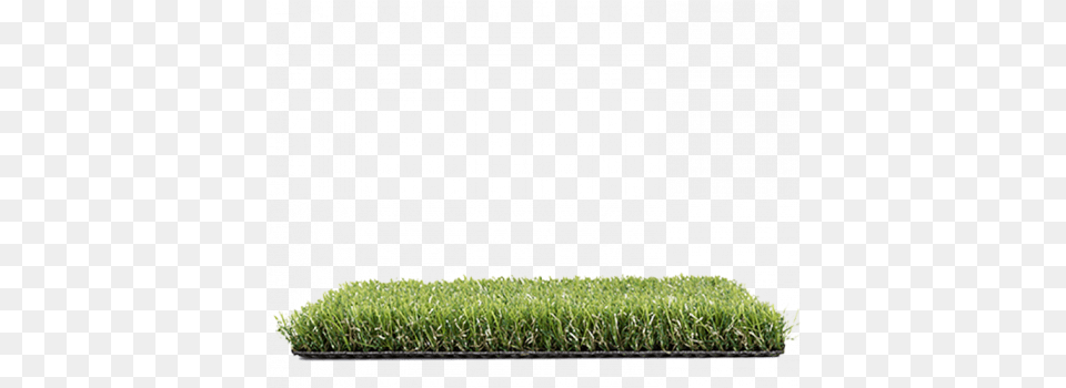 Download Hedge With No Lawn, Grass, Vase, Pottery, Potted Plant Png Image
