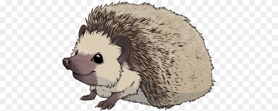 Hedgehog Transparent Images Transparent Hedgehog, Animal, Mammal, Baby, Person Free Png Download