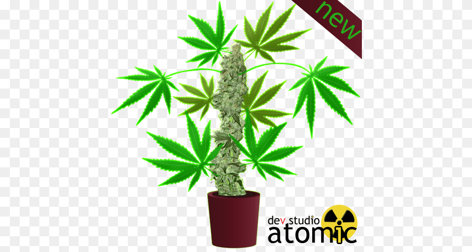 Download Hemp Clipart Cannabis Tree Plant Tree Graphics, Leaf, Weed Png Image