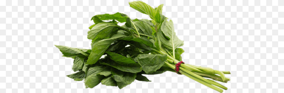 Herb Image With No Callaloo, Food, Herbs, Plant, Produce Free Png Download
