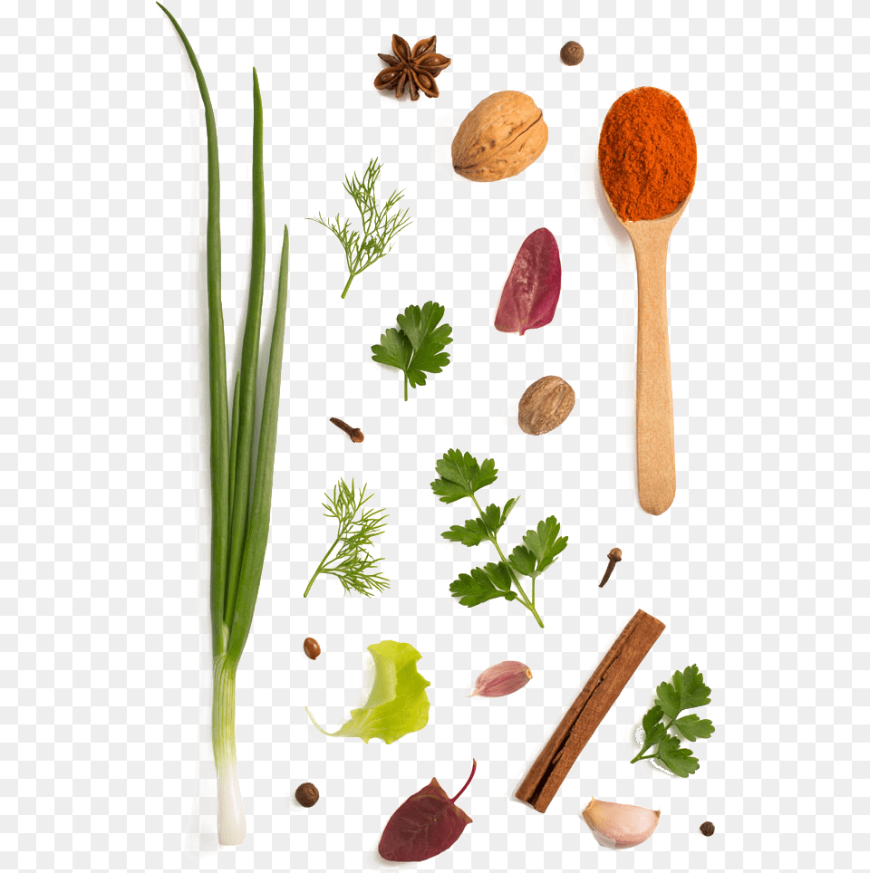 Download Herb Parsley Garlic Vegetable Spices, Cutlery, Herbs, Plant, Spoon Free Transparent Png