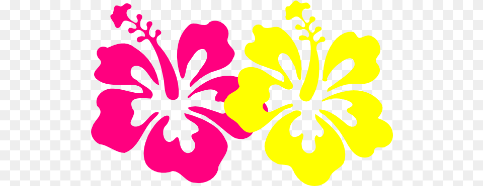 Download Hibiscus Flower Cartoon Black And White Hibiscus Hibiscus Flower Clip Art, Plant Png Image