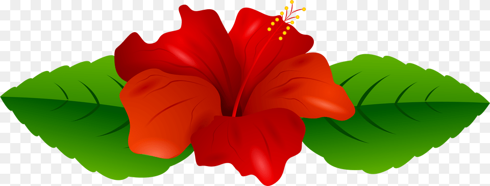 Hibiscus Flower Clip Art, Plant, Rose Free Png Download