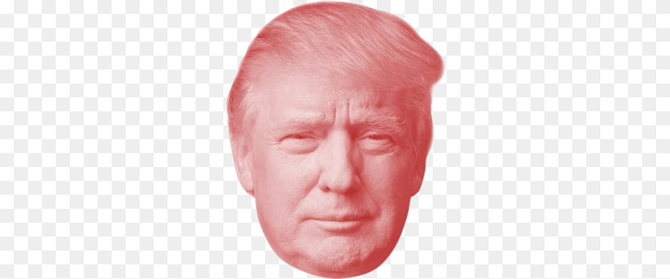 High Quality Donald Trump Transparent President Trump Och Vredens Amerika By Saarikoski Saska, Baby, Face, Head, Person Free Png Download