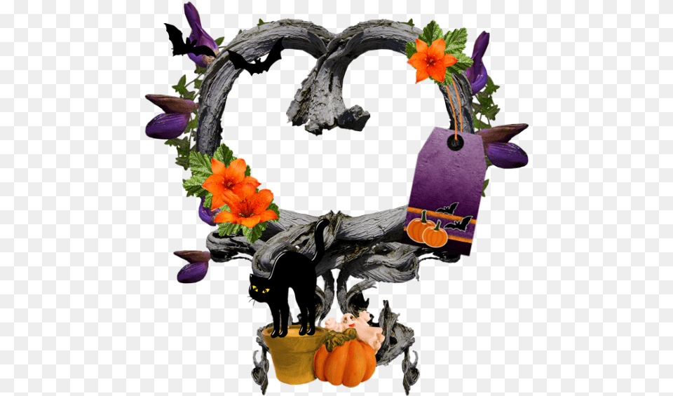 Download High Quality Frame Halloween Cattleya, Plant, Flower, Flower Arrangement, Vegetable Png