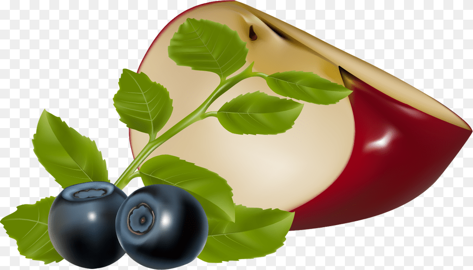 Download Hoja Arandano Clipart Blueberry Bilberry Blueberry Vector, Berry, Food, Fruit, Plant Png Image