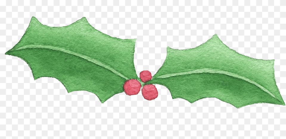 Holly Image With No Background Pngkeycom Watercolor Holly, Leaf, Plant, Annonaceae, Tree Free Png Download
