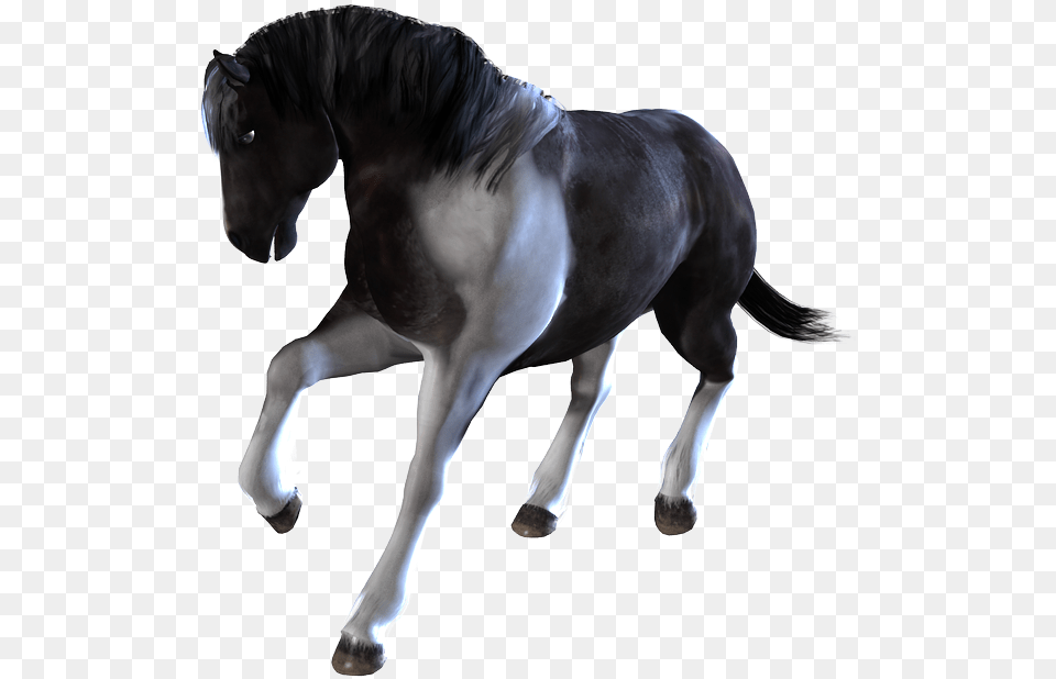 Download Home Poser And Daz Studio Content Horses Animated Transparent Horses, Animal, Horse, Mammal, Colt Horse Free Png