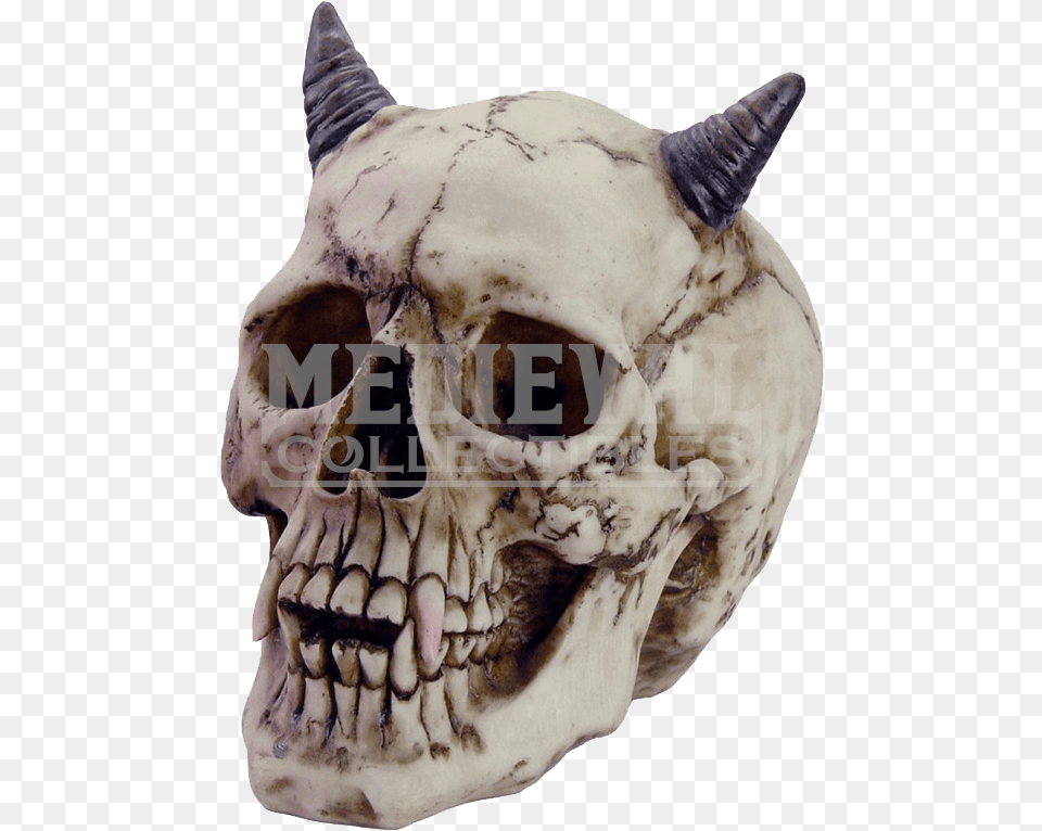 Horned Devil Skull Halloween Skulls With Horns Estatua De Diablo, Animal, Cattle, Cow, Livestock Free Png Download