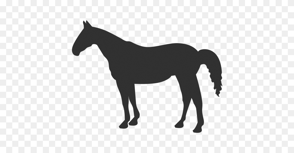 Download Horse Icon, Silhouette, Animal, Colt Horse, Mammal Free Transparent Png