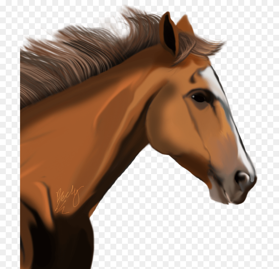 Horse Transparent Transparent Backgrounds Race Horse Head, Animal, Colt Horse, Mammal, Adult Free Png Download