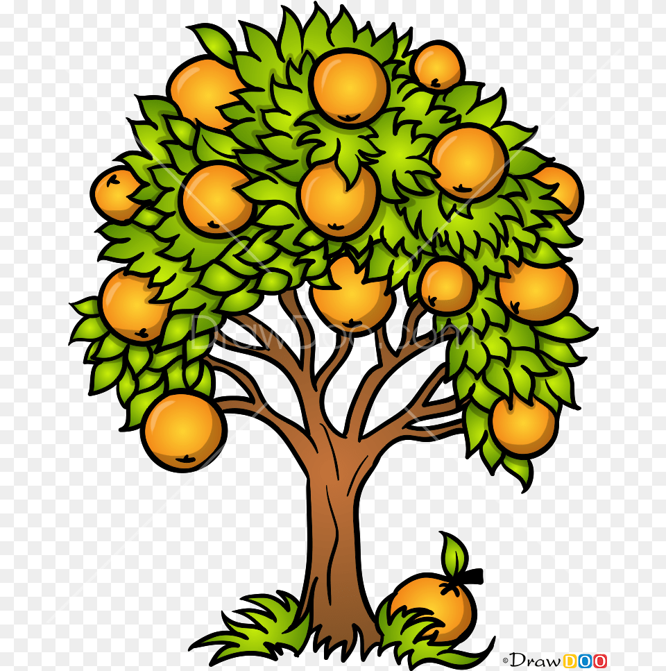 Download How To Draw An Orange Tree Easy Orange Tree Drawing, Citrus Fruit, Food, Fruit, Plant Free Transparent Png