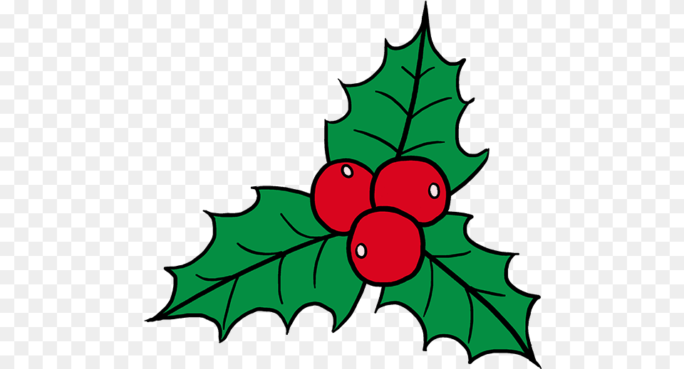How To Draw Holly Christmas Holly Drawing Hd Mistletoe Easy To Draw, Leaf, Plant, Food, Fruit Free Png Download