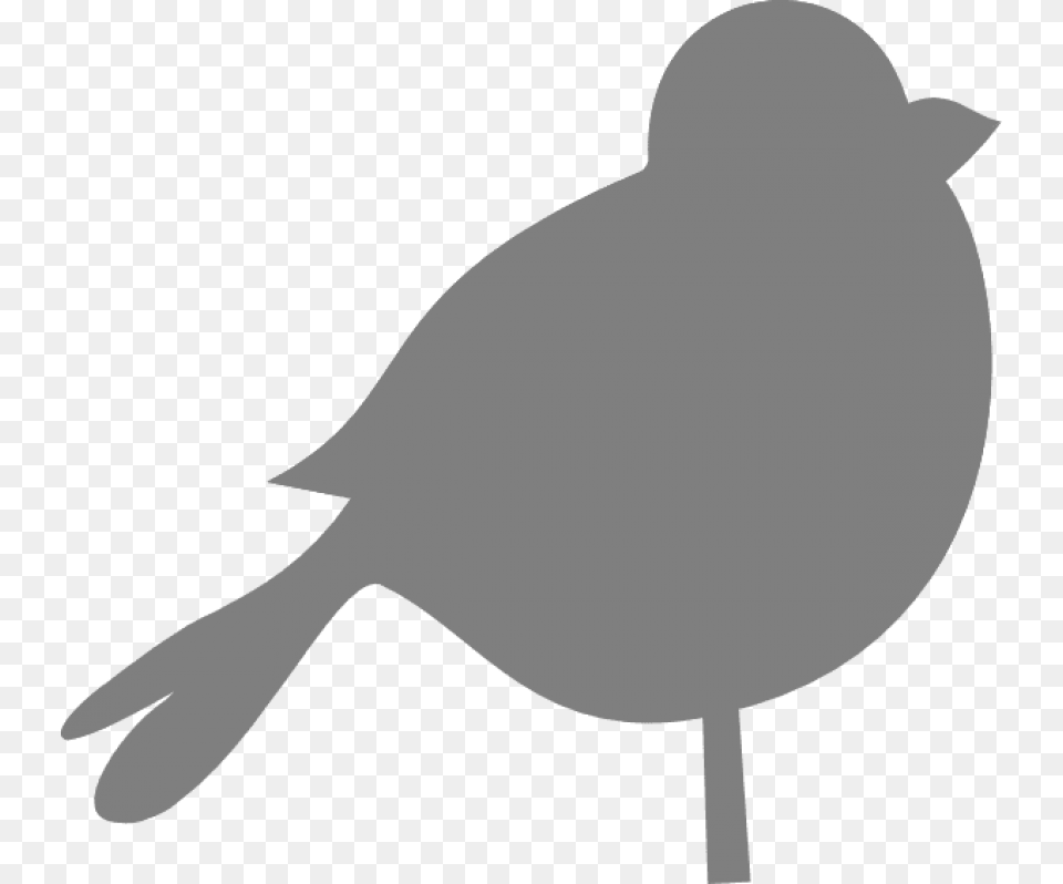 Download How To Set Use Bird Gray Svg Vector Grey Bird Clipart, Animal, Person, Canary Free Transparent Png
