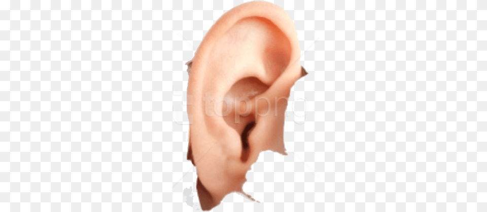 Download Human Ear Images Background Hyperacusis Ear Plugs, Body Part, Baby, Person Free Transparent Png