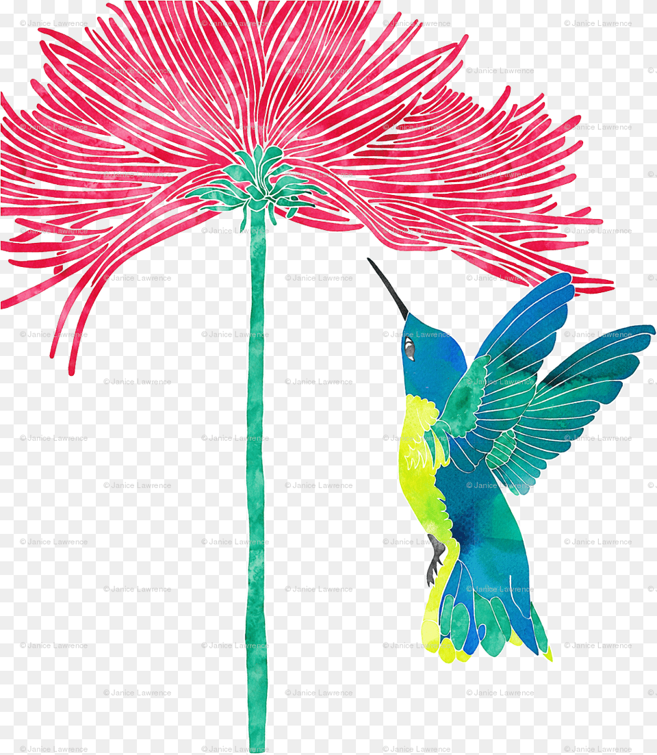 Hummingbird Full Size Image Pngkit Floral Design, Chart, Plot, Animal, Beak Free Png Download