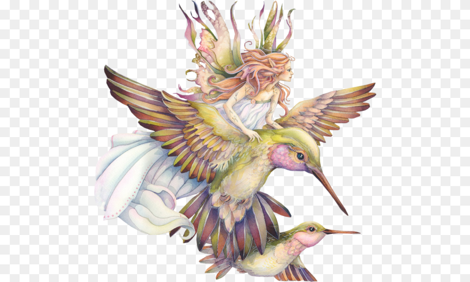Download Hummingbird Tattoos Fairy And Hummingbird Tattoo, Animal, Bird Png Image