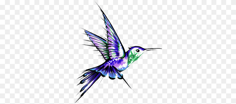 Hummingbird Tattoos Transparent Hq Hummingbird Tattoo, Animal, Bird, Flying Free Png Download