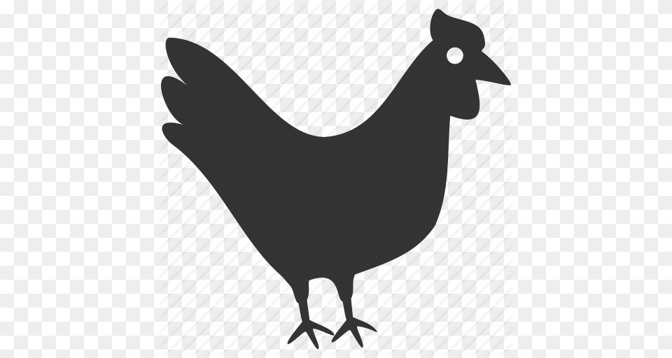 Download Icon Hen, Animal, Bird, Chicken, Fowl Free Transparent Png
