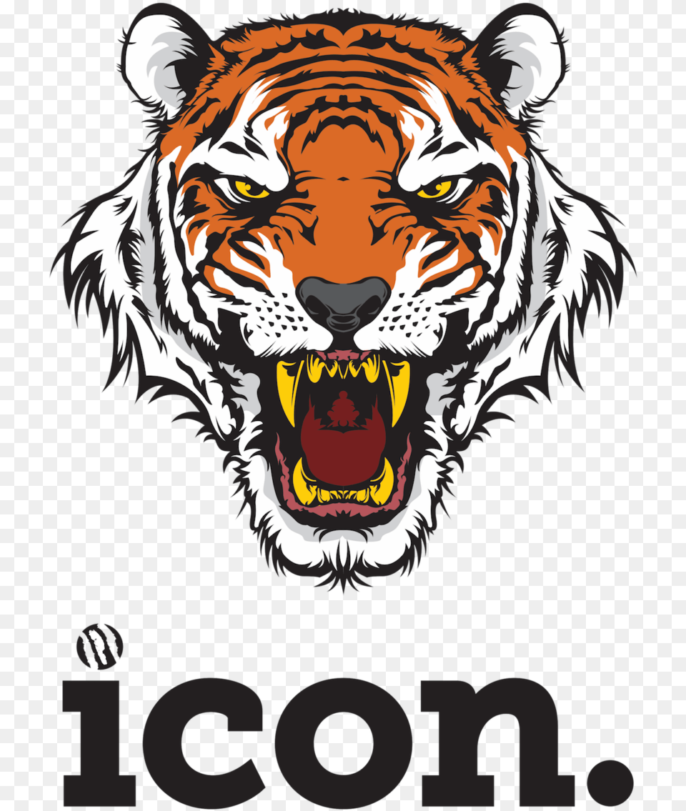 Download Icon Jogger Suit Greymidnight Milkyway Tiger Icon Hoodie With Tiger, Animal, Mammal, Wildlife Free Png