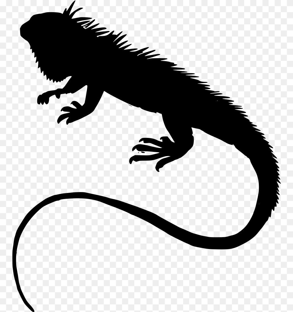 Iguana Silhouette, Gray Free Png Download