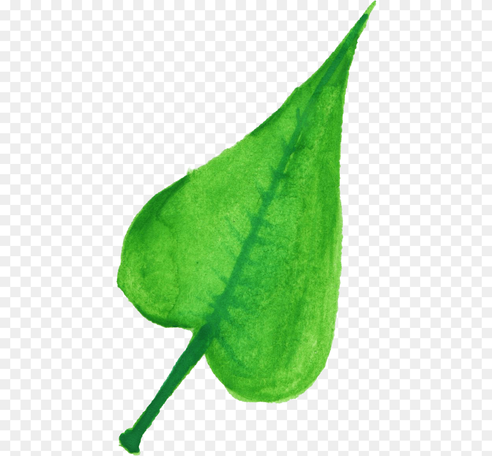 Download Illustration, Leaf, Plant, Flower Png Image