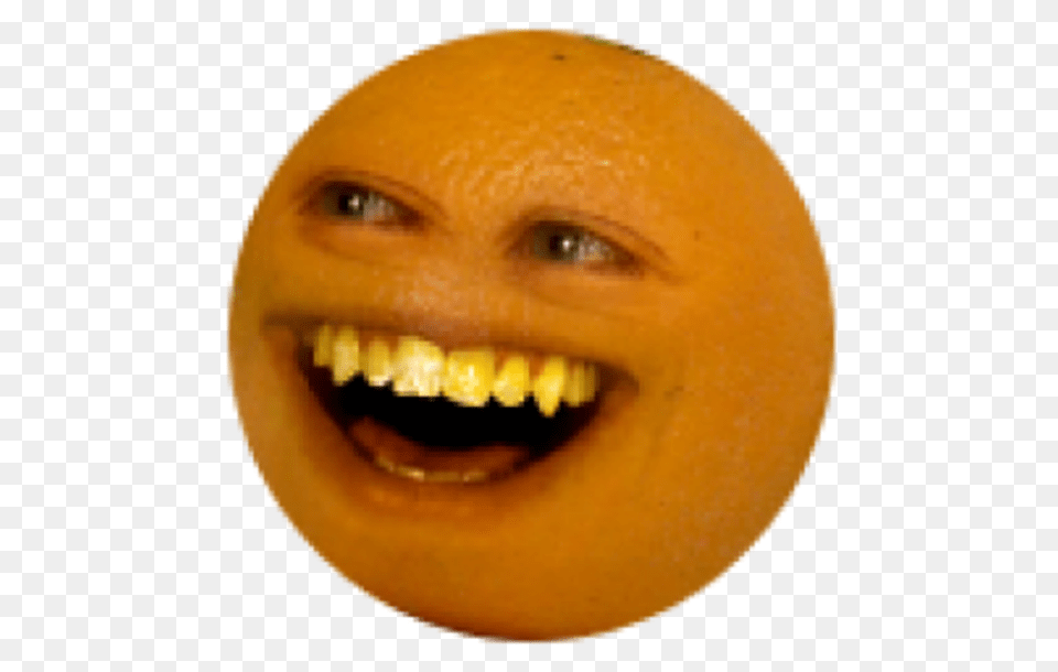 Download Annoying Orange Laughingpng Annoying Orange Memes, Produce, Citrus Fruit, Food, Fruit Png Image