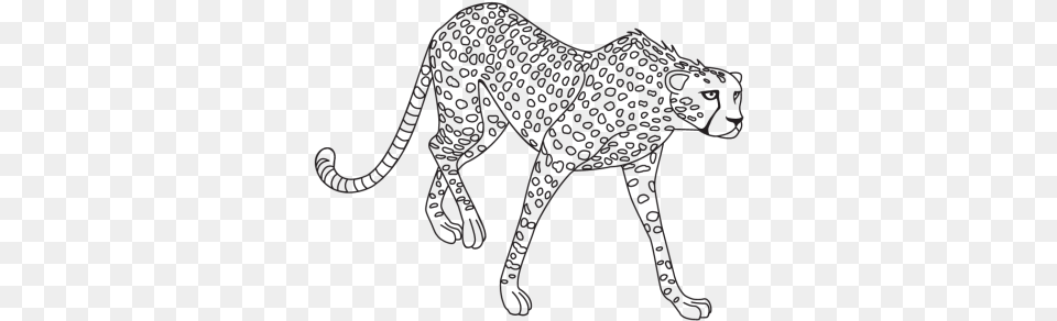 Image Report Black And White Clipart Jaguar, Animal, Cheetah, Mammal, Wildlife Free Png Download