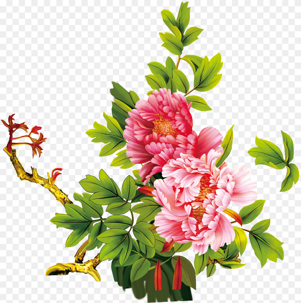 Download Images Of Flowers Stock Floral Design, Art, Graphics, Flower Bouquet, Flower Arrangement Free Png