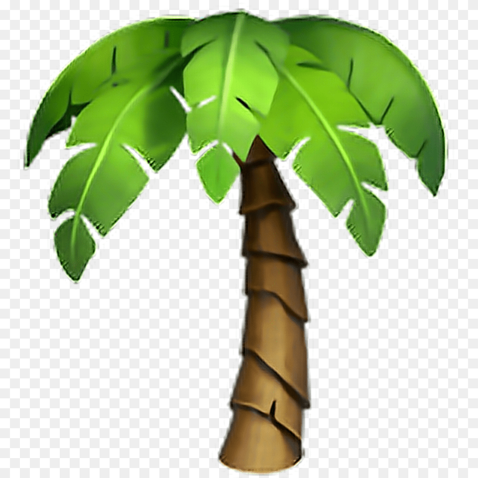 Iphone Emoji Flowers Palmtree Tree Palm Tree Iphone Palm Tree Emoji, Palm Tree, Plant, Bamboo, Food Free Png Download