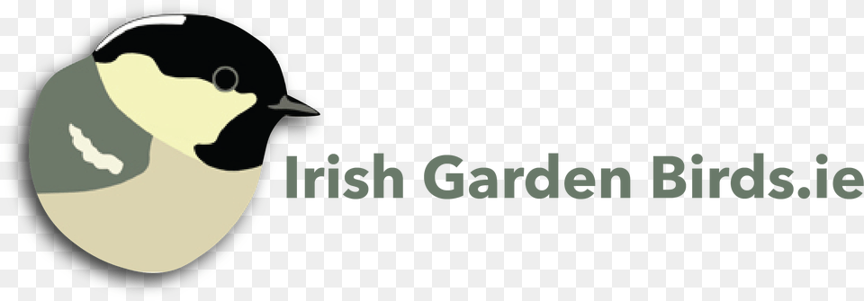 Download Irish Garden Birds Garden Full Size Iste 2015, Animal, Bird, Finch, Beak Png Image