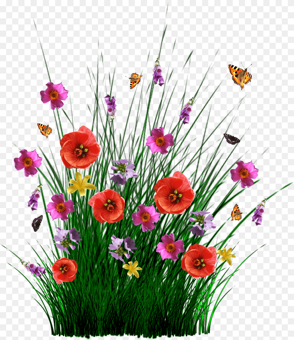 Download Isolated Spring Flowers Grass Flower Spring Grass Png Image