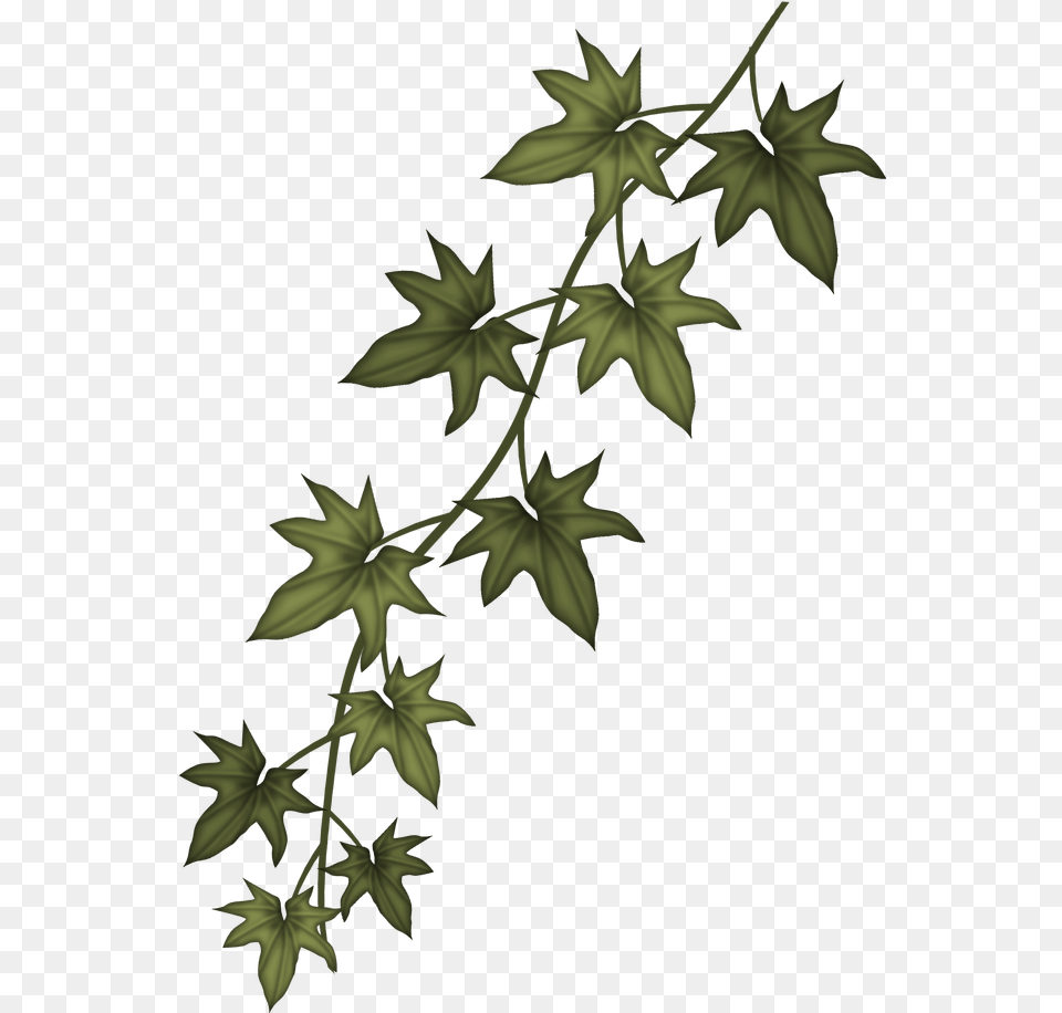 Download Ivy Clip Art Sizzix Garden Greens Thinlits Ivy Branch, Leaf, Plant, Pattern, Person Free Png