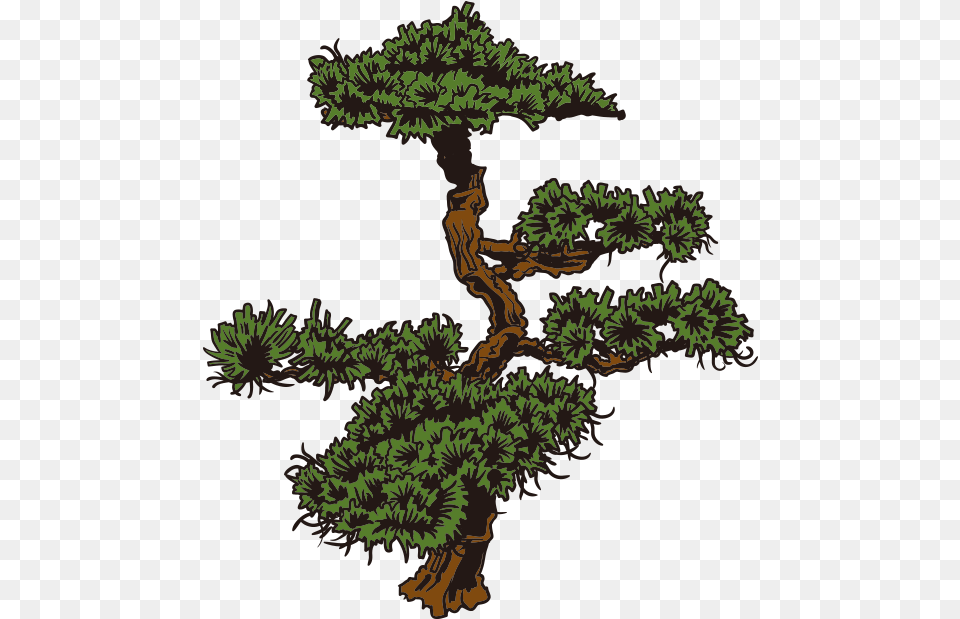 Download Japan Cartoon Clip Art Culture Transprent Bonsai Tree Vector, Plant, Conifer, Potted Plant, Vegetation Free Transparent Png