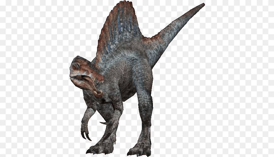 Download Jp Spinosaurus Version Zoo Tycoon 2 Spinosaurus Animal Figure, Dinosaur, Reptile, T-rex Free Transparent Png