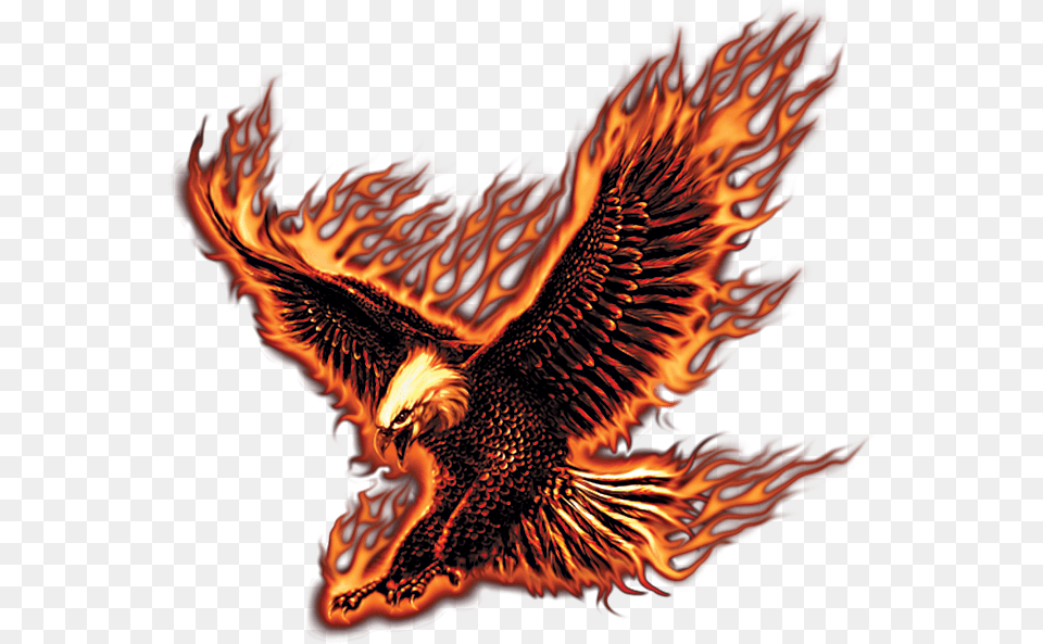 Download Jpg Black And White Library Flying Fire Eagle Fire Eagle, Mountain, Nature, Outdoors, Animal Png Image