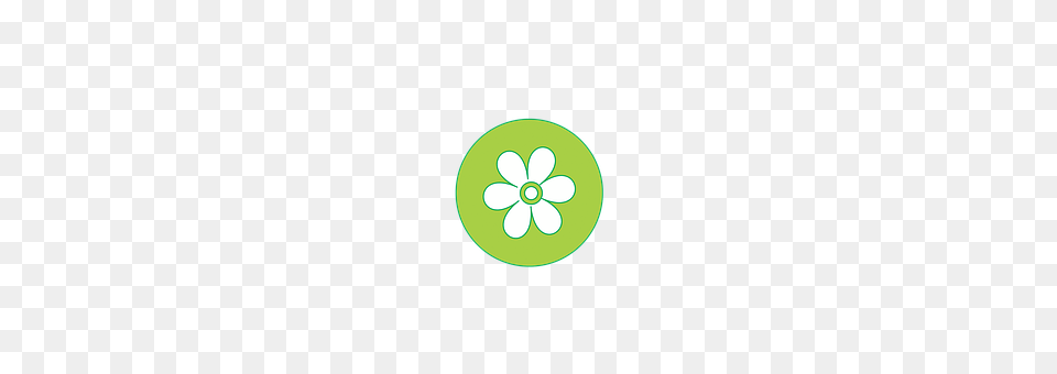 Download Jude Yellow Star Clipart Yellow Badge Star Of David, Disk, Green, Flower, Plant Png Image