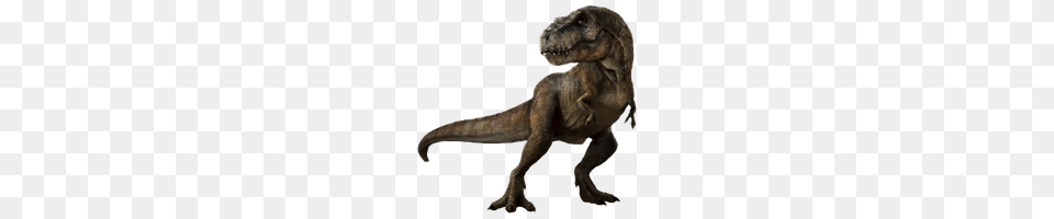 Download Jurassic World Photo And Clipart Freepngimg, Animal, Dinosaur, Reptile, T-rex Free Png