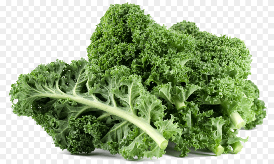 Kale File For Designing Project Kale Vegetable, Food, Leafy Green Vegetable, Plant, Produce Free Png Download