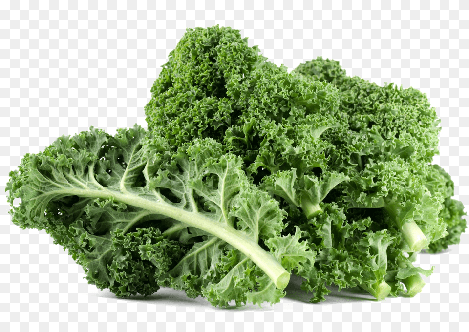 Download Kale File Kale, Food, Leafy Green Vegetable, Plant, Produce Png Image