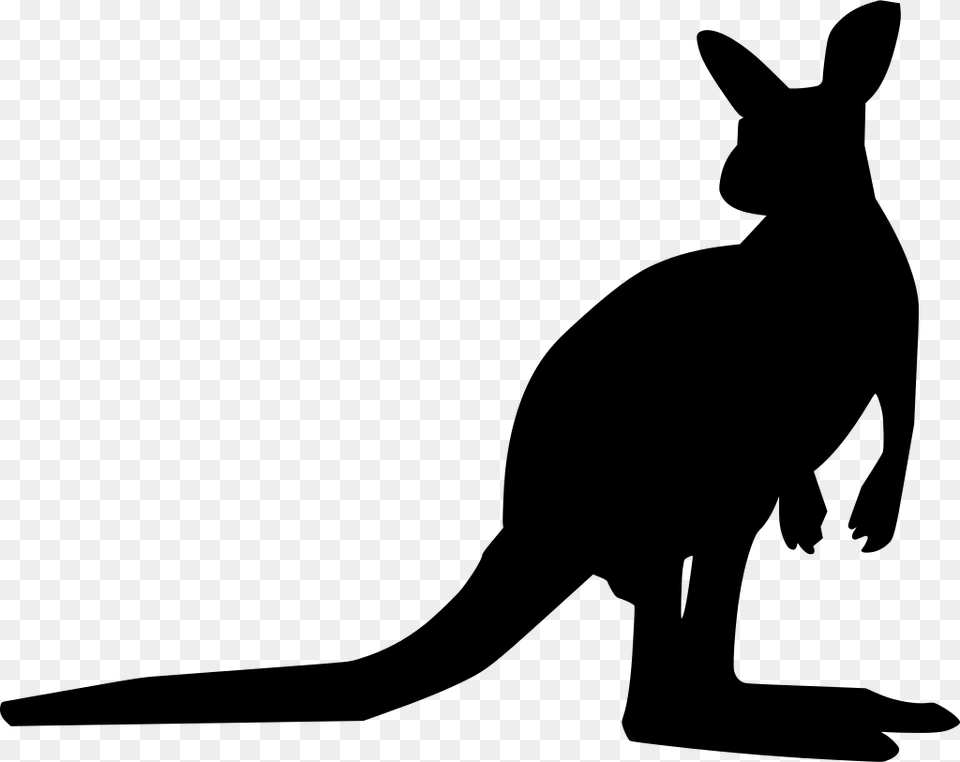 Download Kangaroo Silhouette Background, Gray Free Transparent Png