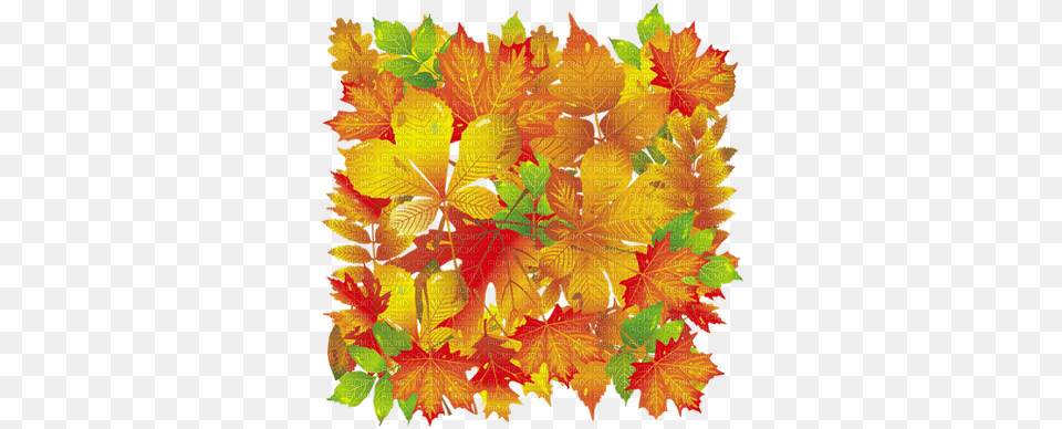 Kaz Creations Autumn Fall Leaves Leafs Background, Leaf, Plant, Tree, Maple Free Png Download