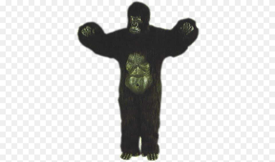 Download King Kong Action Figure, Animal, Ape, Mammal, Wildlife Png Image