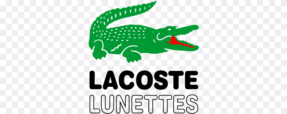 Download Lacoste Logo Laccoste Logo, Animal, Crocodile, Reptile, Fish Free Png