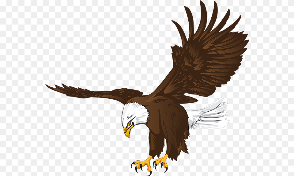 Download Lakes Community High School, Animal, Bird, Eagle, Bald Eagle Free Transparent Png