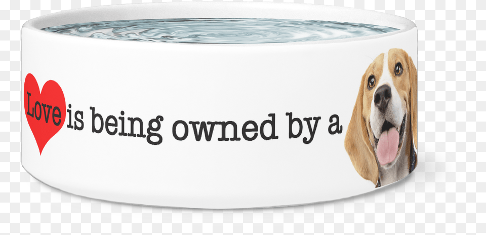 Download Large Dog Bowl Love Is Being Owned By A Beagle Basset Hound, Animal, Canine, Mammal, Pet Free Png