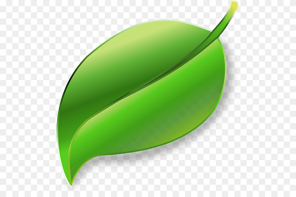 Download Leaf Transparent Clipart Clip Art Leaf Grass, Plant, Green, Food, Fruit Png Image