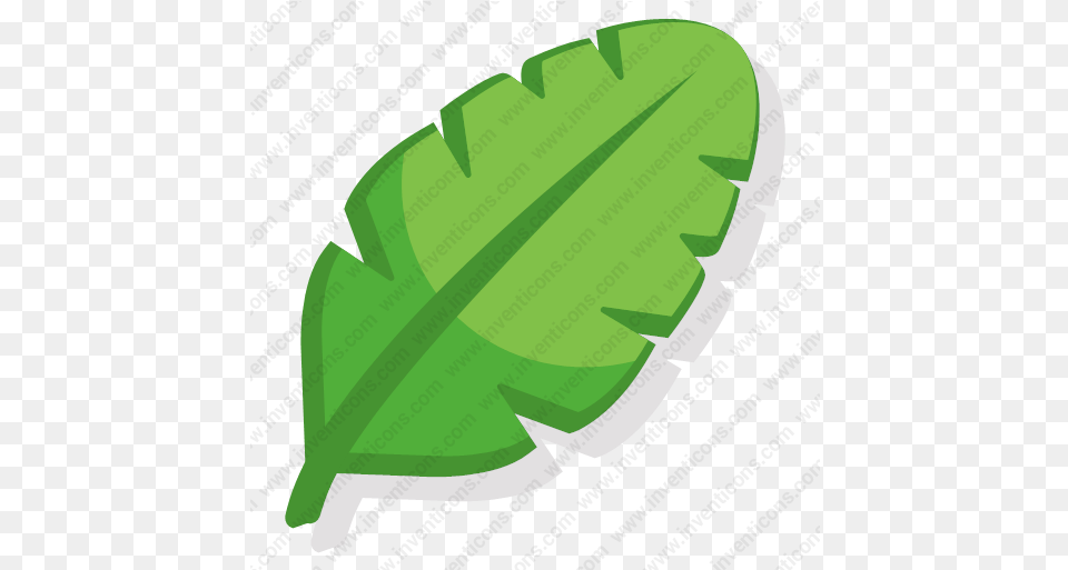Download Leaf Vector Icon Illustration, Plant, Green, Herbal, Herbs Free Png